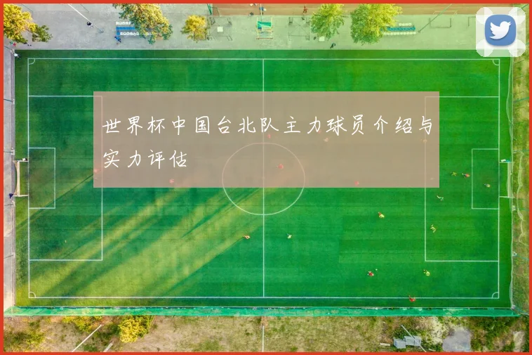 世界杯中国台北队主力球员介绍与实力评估